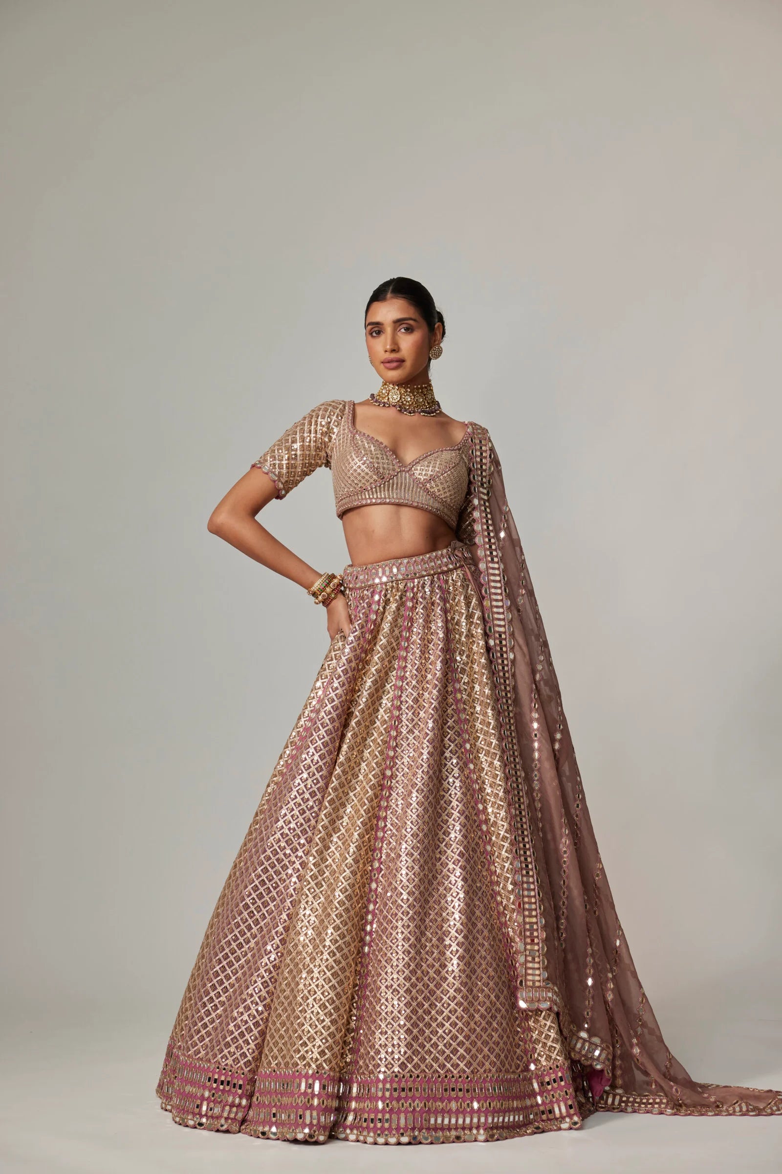 Deep Beige Multicolor Metallic Lehenga with Elbow Blouse  - Ready To Ship