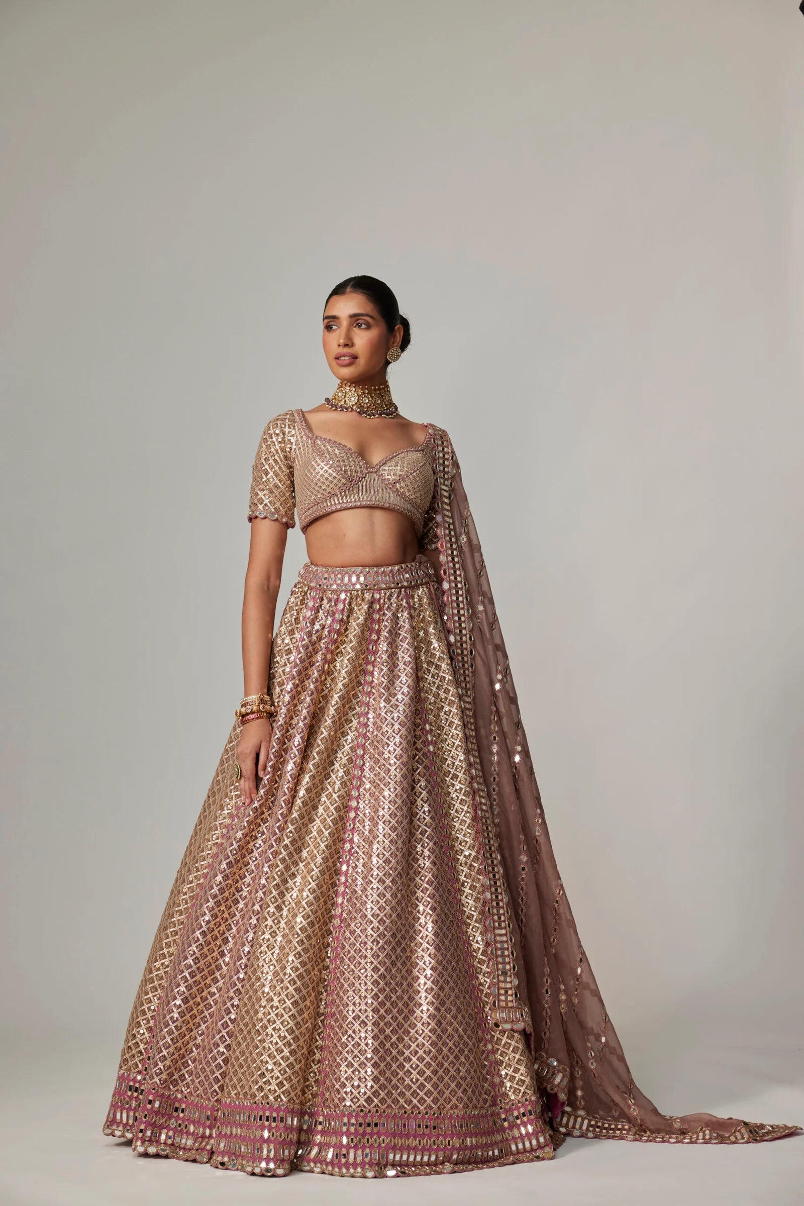 Deep Beige Multicolor Metallic Lehenga with Elbow Blouse  - Ready To Ship