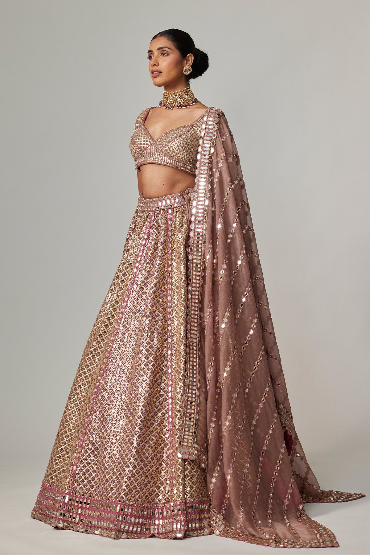 Deep Beige Multicolor Metallic Lehenga With Elbow Blouse