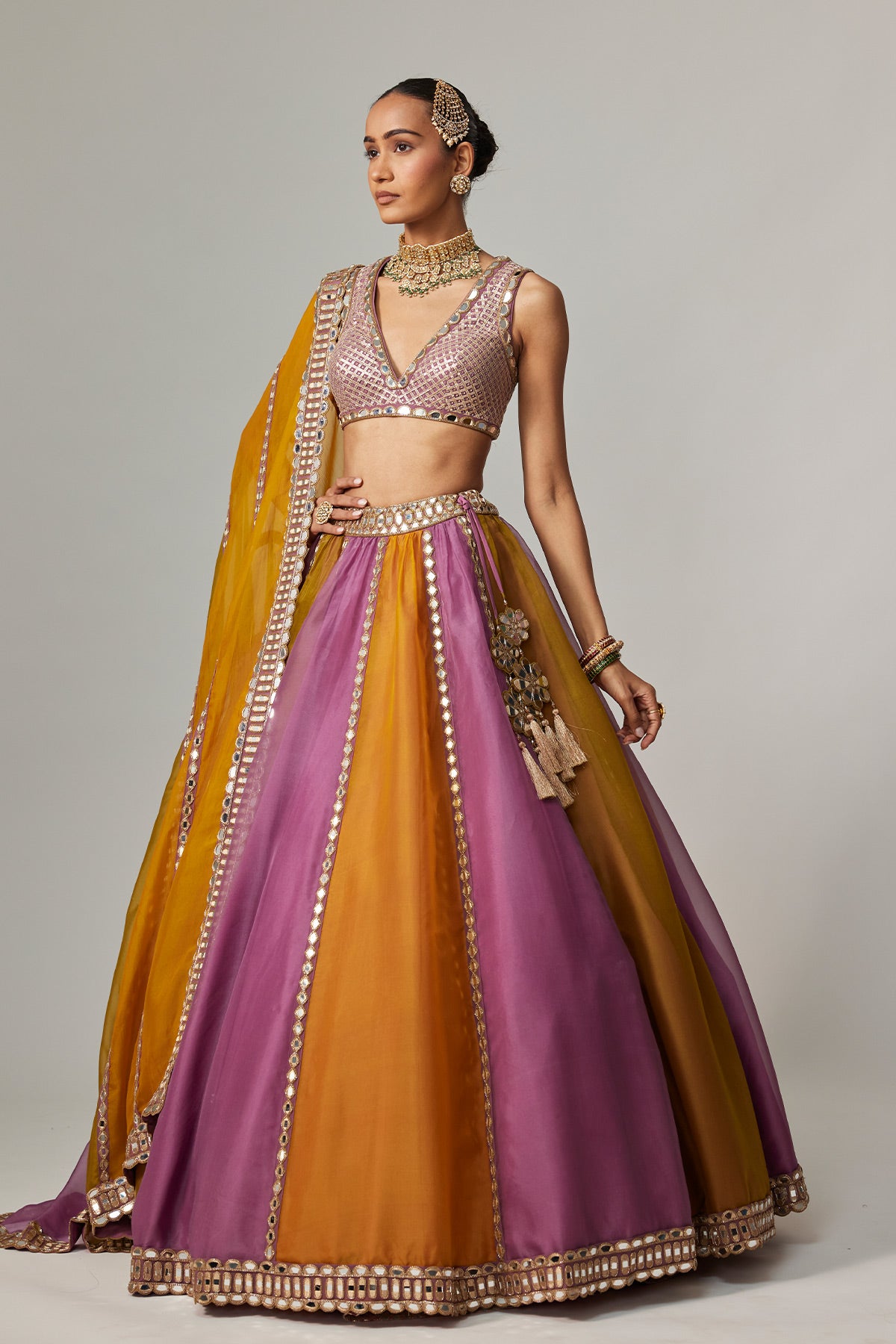 Mustard Multicolor Linear Lehenga With V Neck Blouse