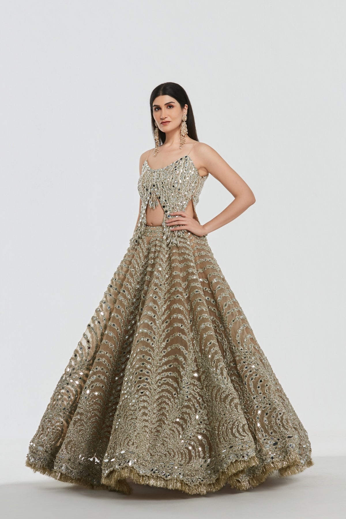 Roshni