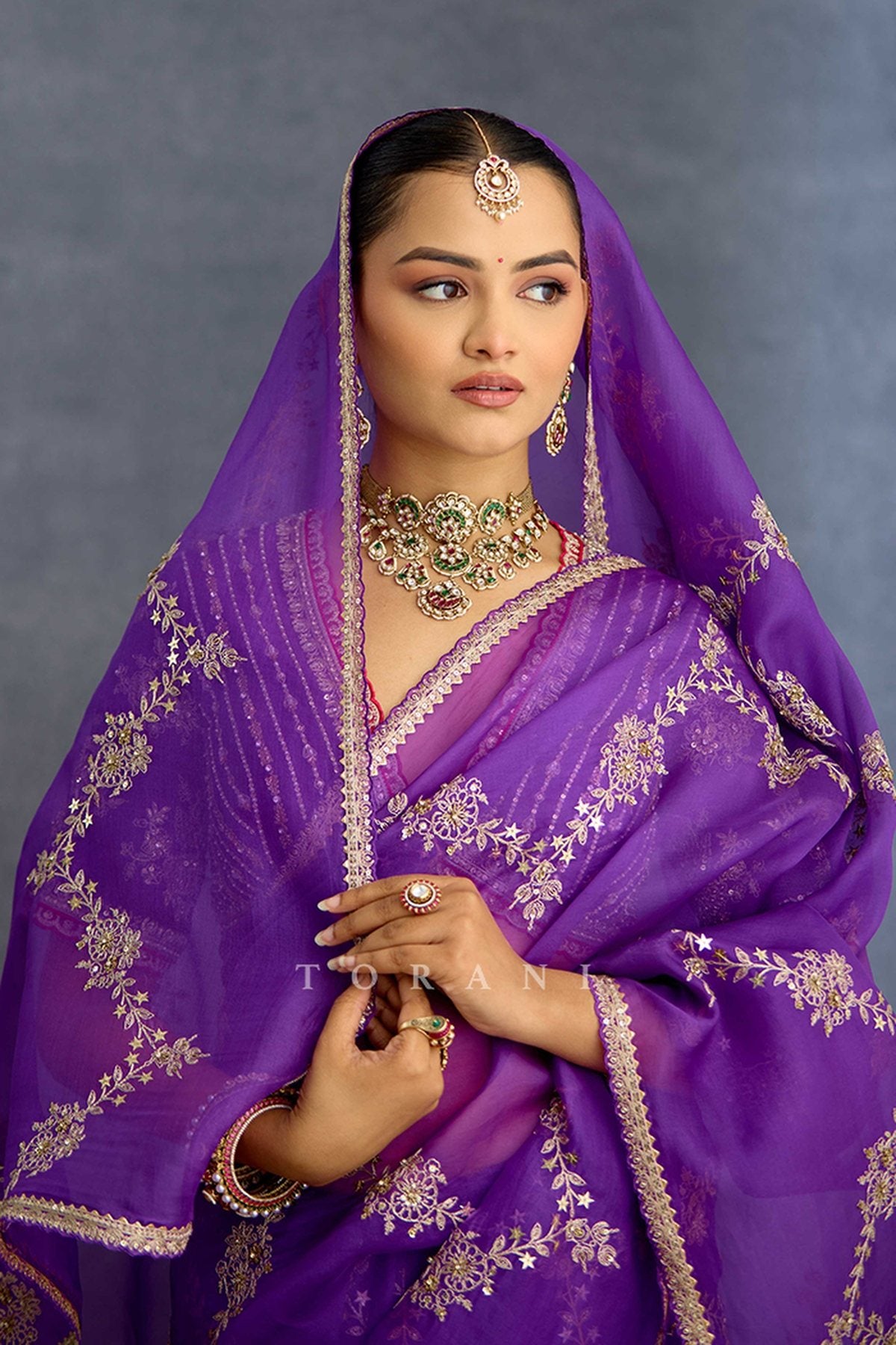 Banafsha Zareen Kinaar Saree