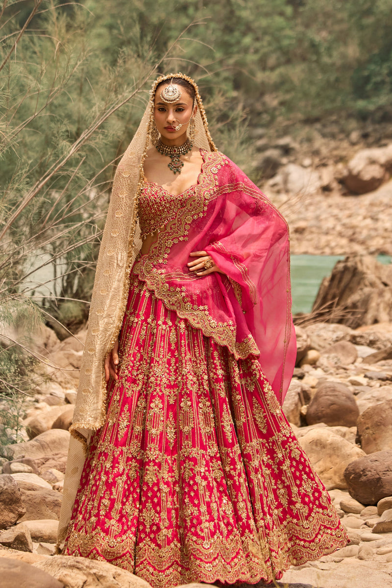 Nitika Gujral