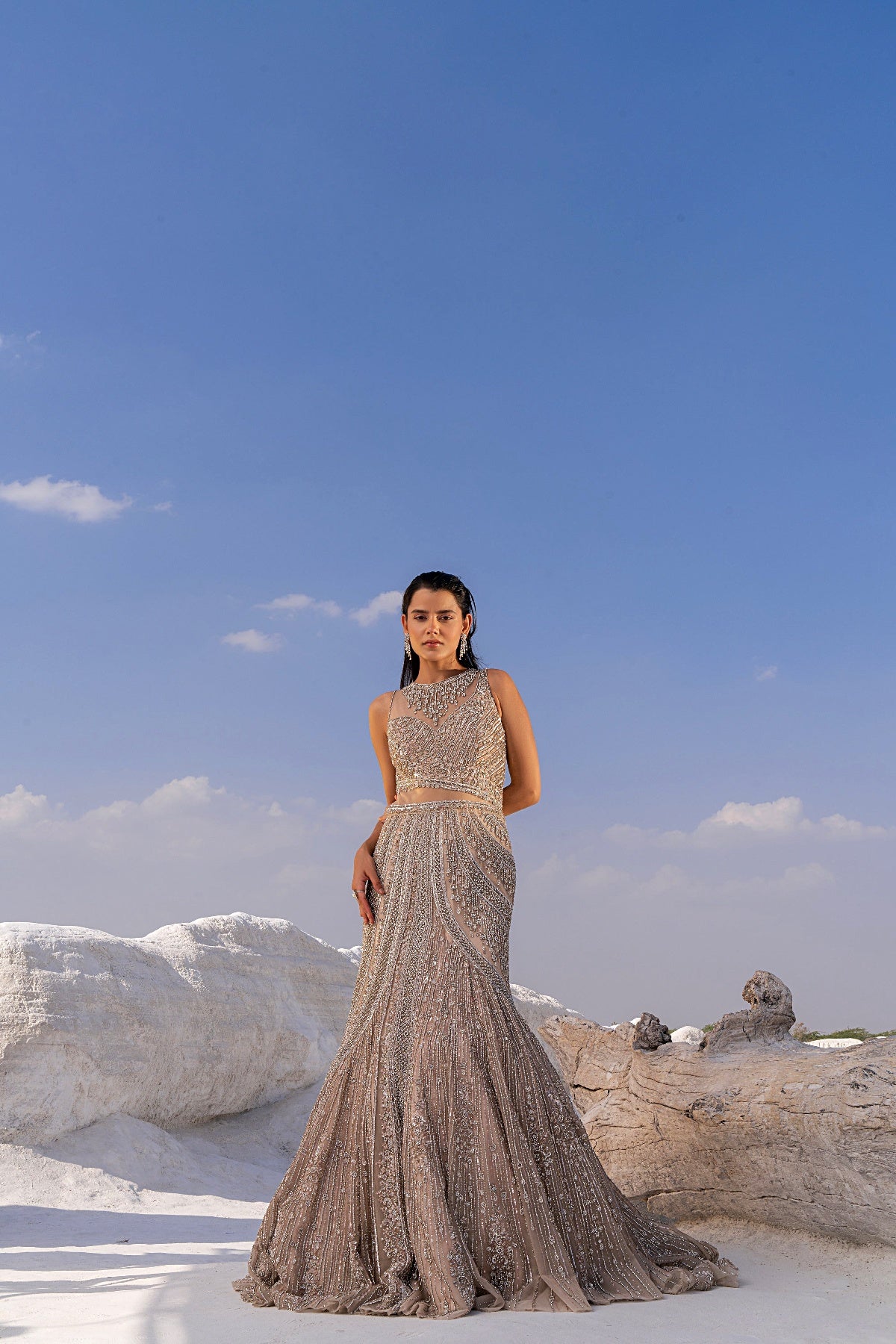 GOLD FISH CUT EMBELLISHED GOWN