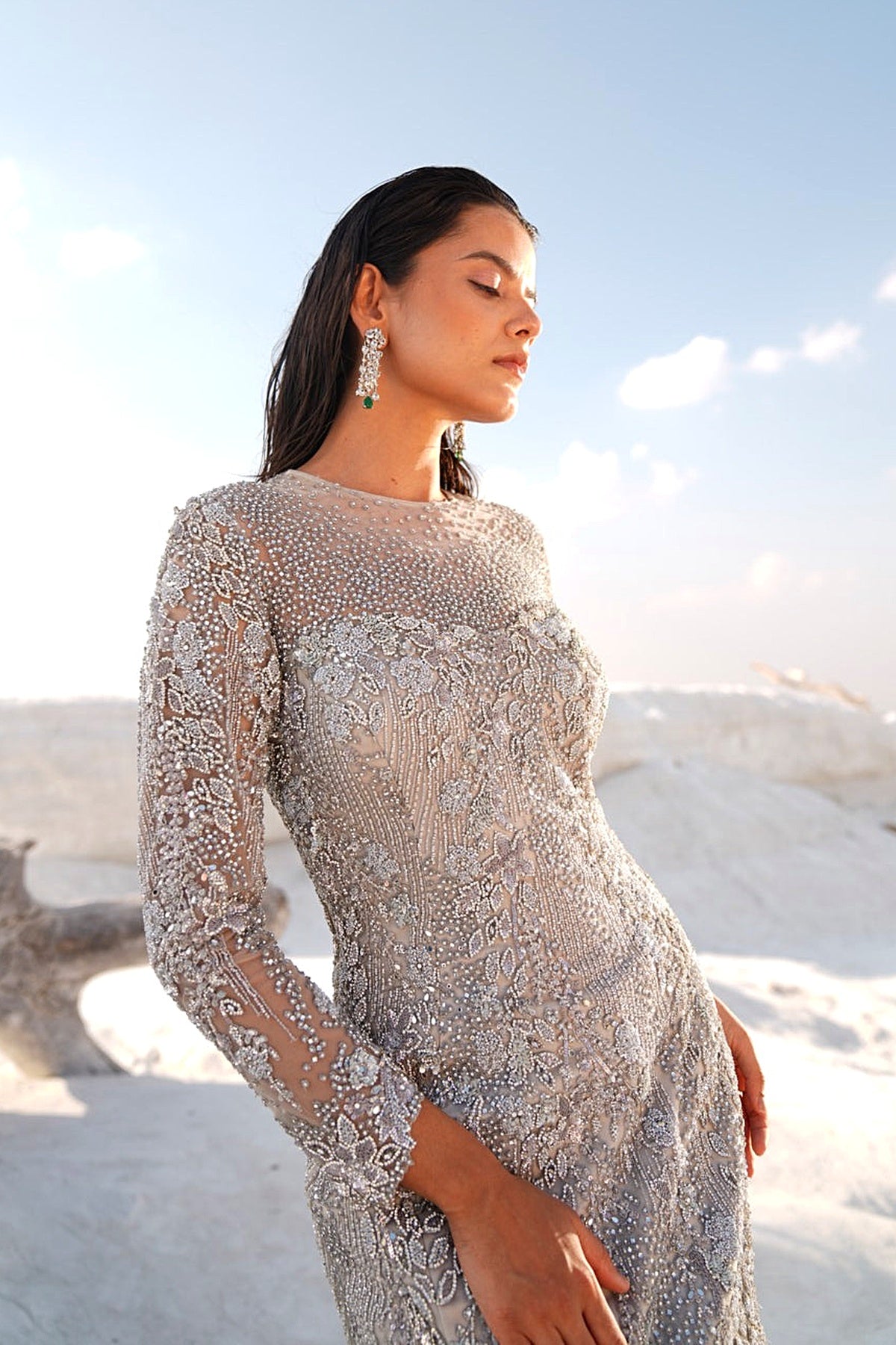 SILVER FISH CUT EMBELLISHED GOWN