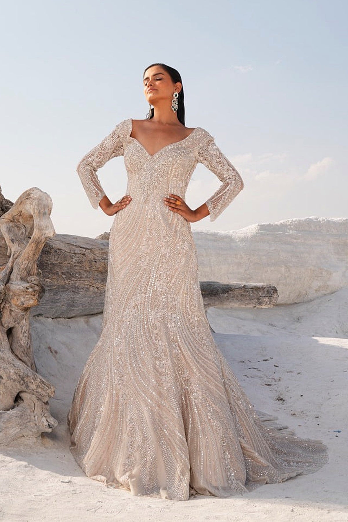 IVORY FISH CUT EMBELLISHED GOWN