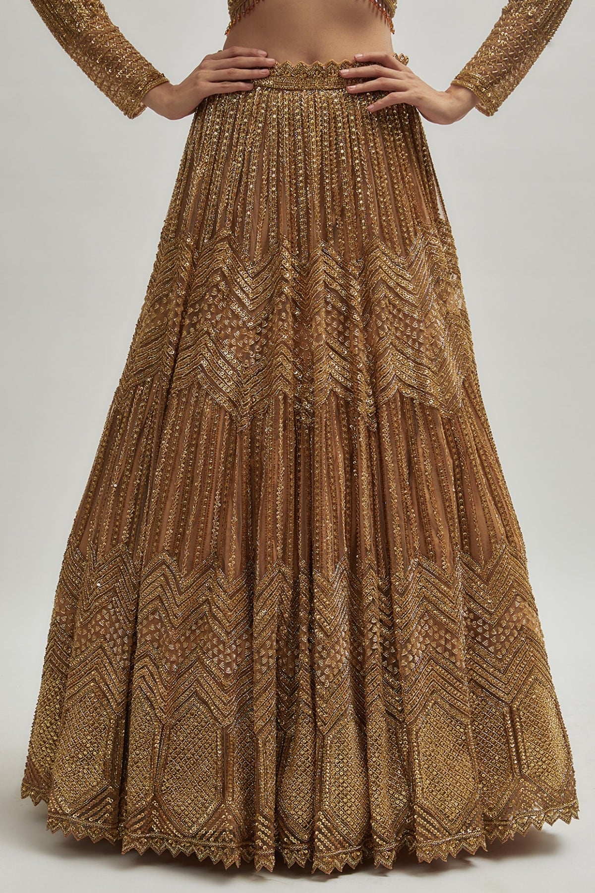 Dark Gold Net Hand Embroidered Lehenga Set