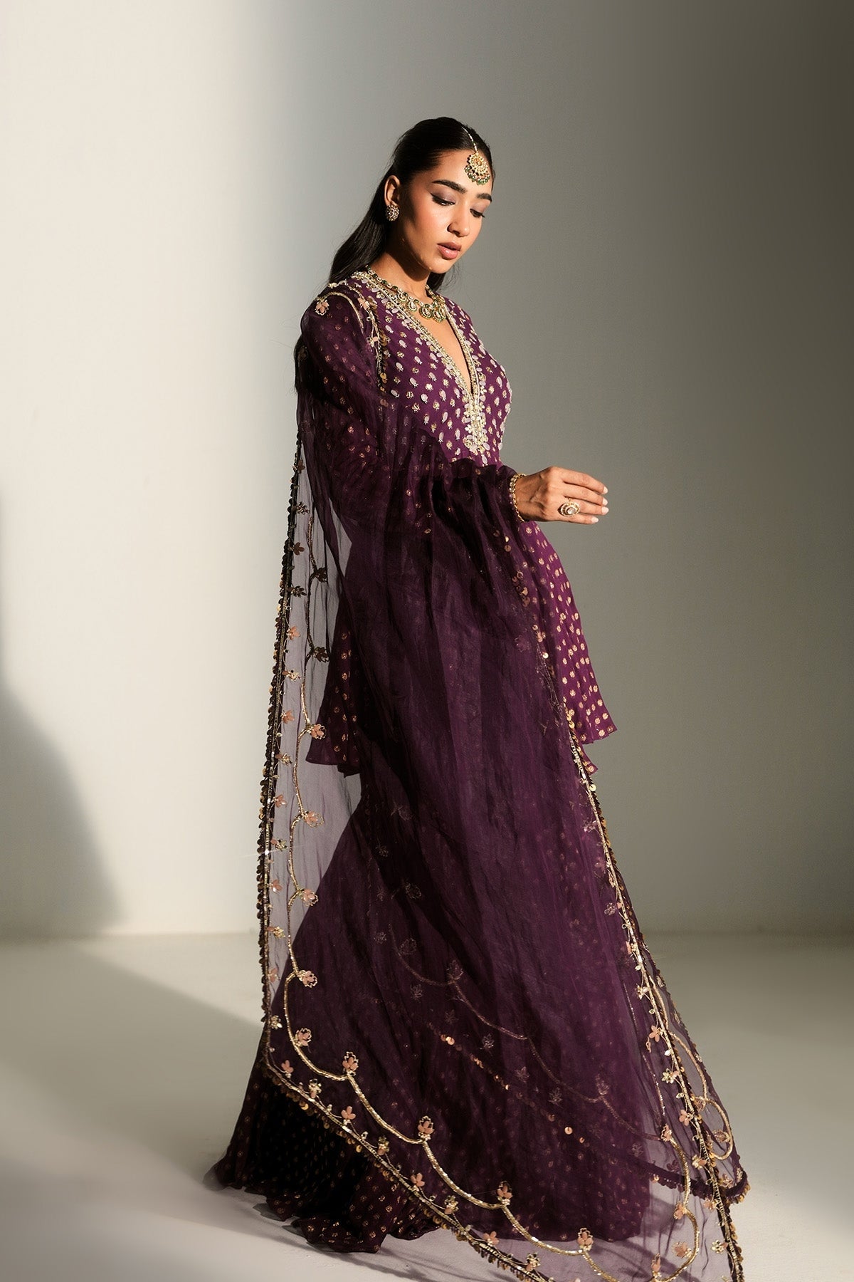 NANDINI