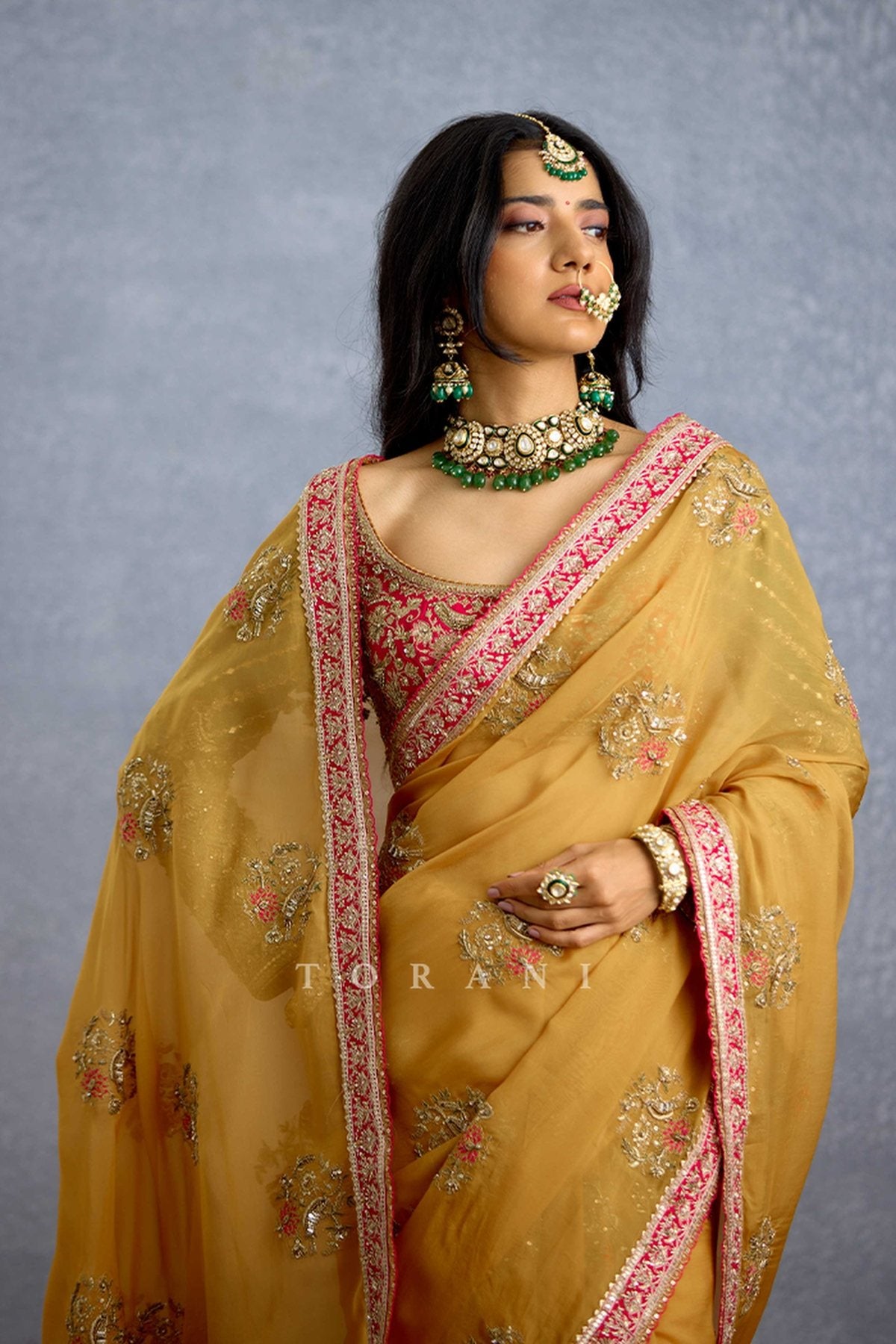 Naargis Zard Naureen Saree