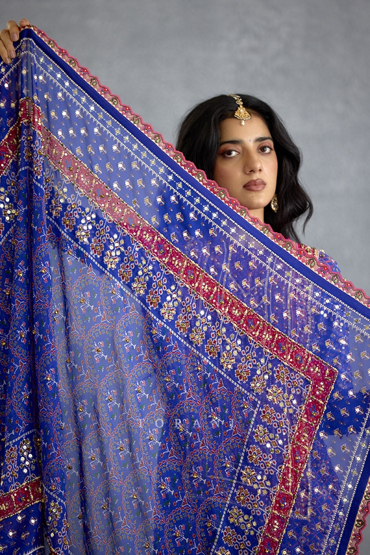 Niladri Atasi Sharara Set