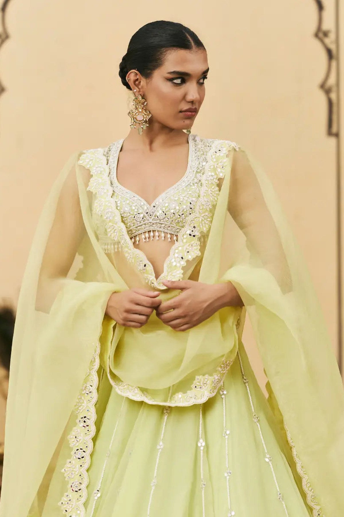 Pudina Organza Lehenga Set