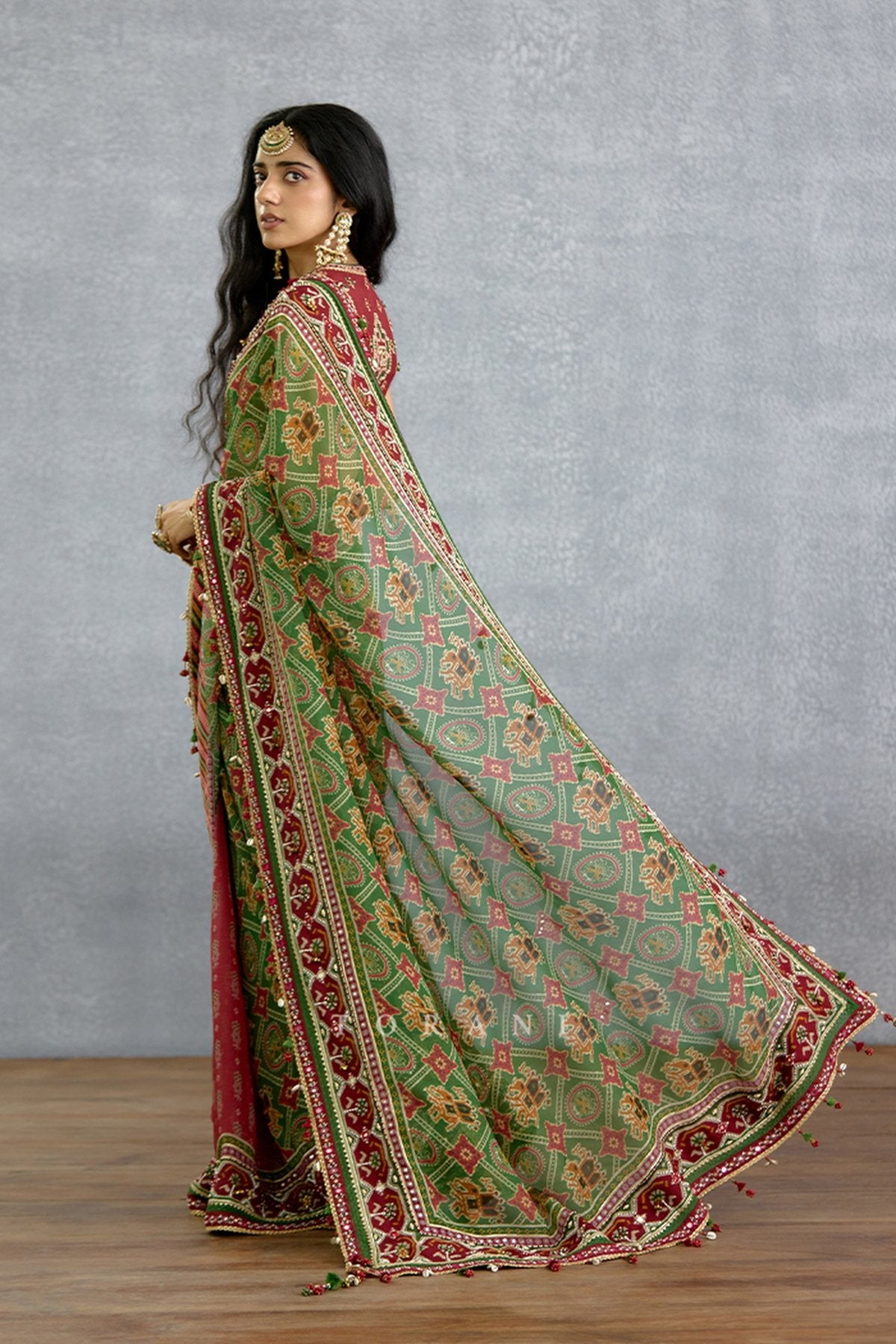 Trinaja Surkhi Ameesha Saree